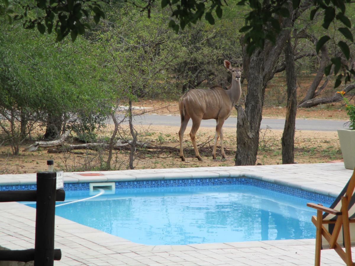 Woodpecker Lodge B&B Hoedspruit Ngoại thất bức ảnh
