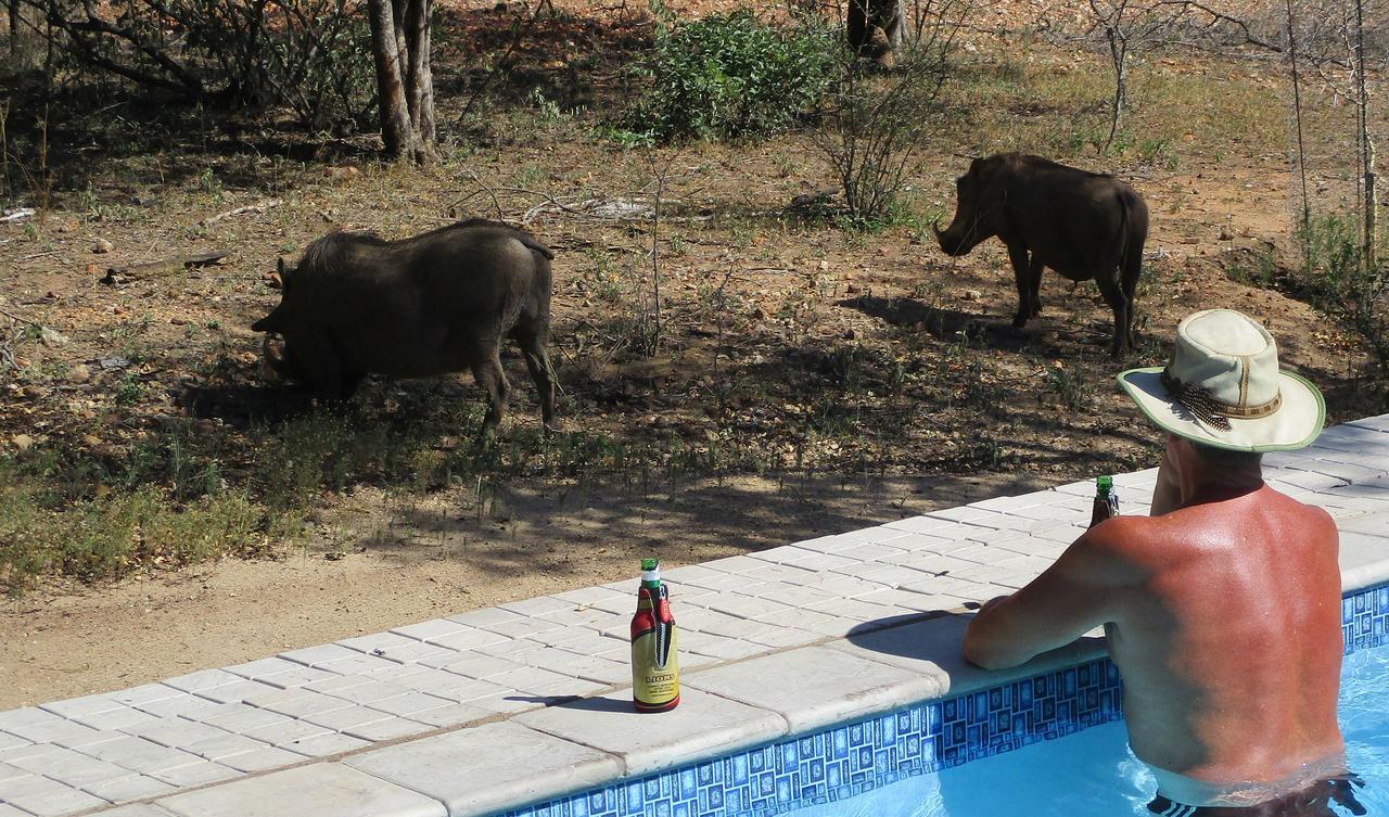 Woodpecker Lodge B&B Hoedspruit Ngoại thất bức ảnh